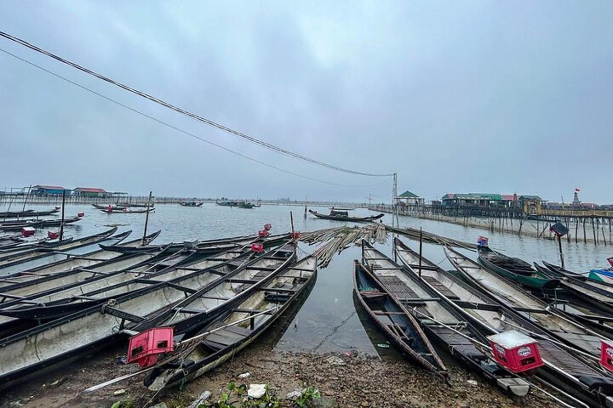 Un montón de barcos están alineados en el agua