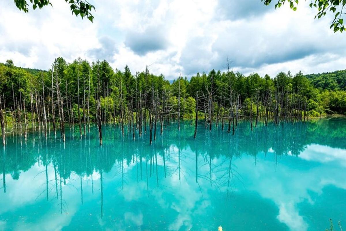 a large body of blue water with trees in the background