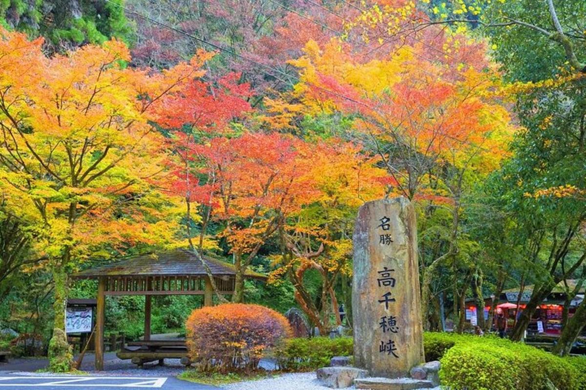a park with autumn trees and a gazebo