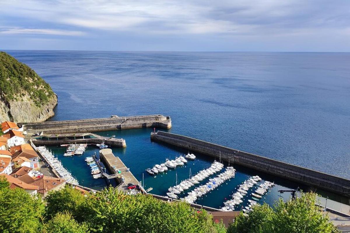 an aerial view of a marina with boats in the water