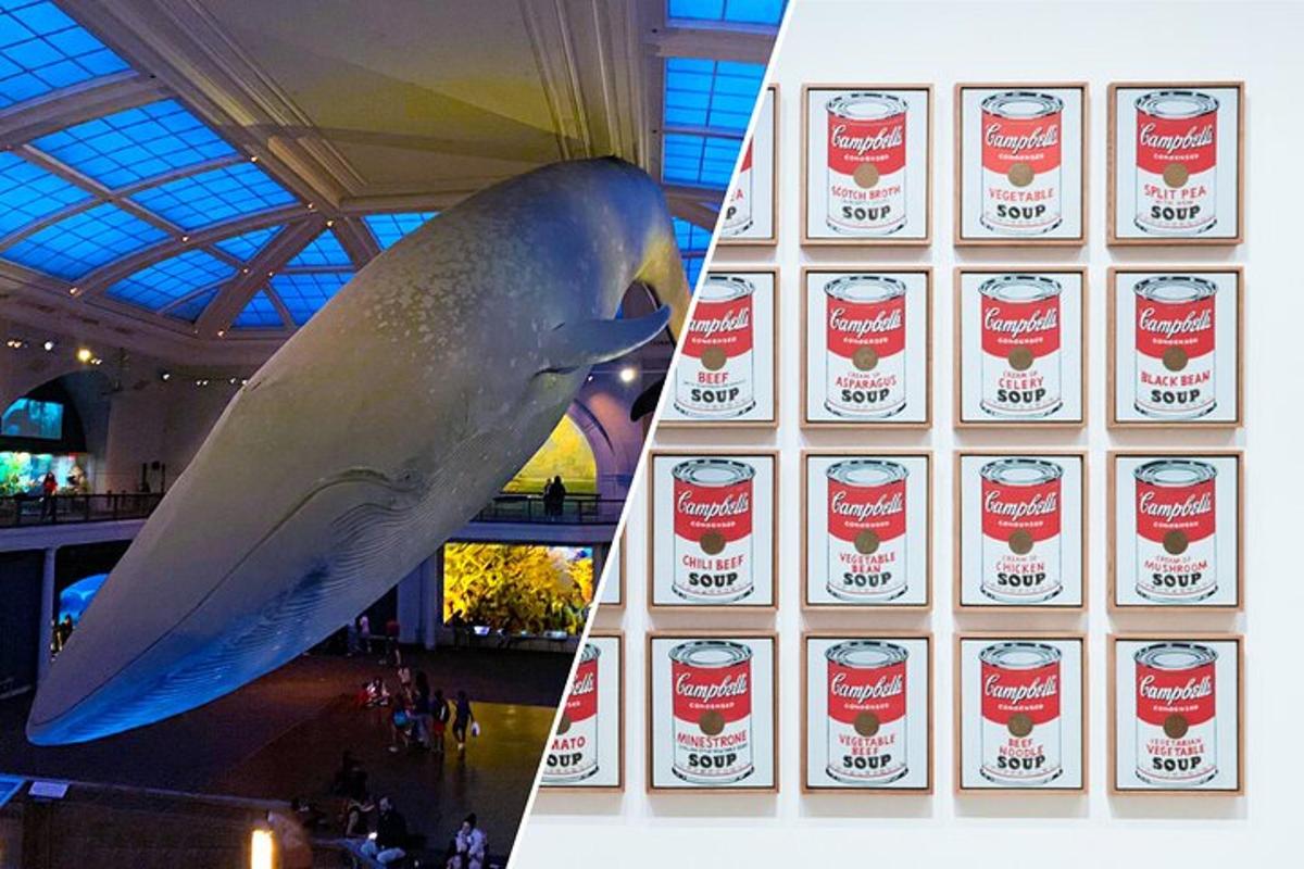 a parrot standing next to a wall with cans of soda