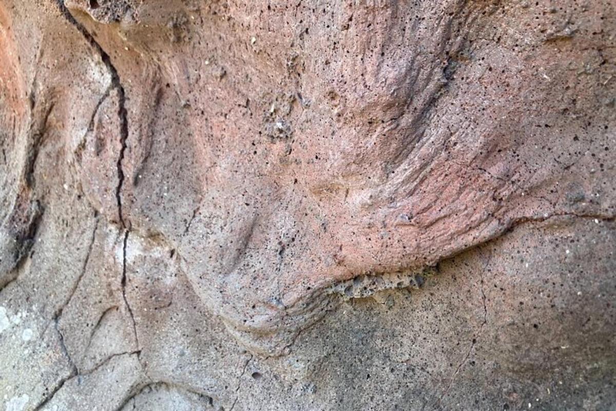 a close up of a rock wall with cracks