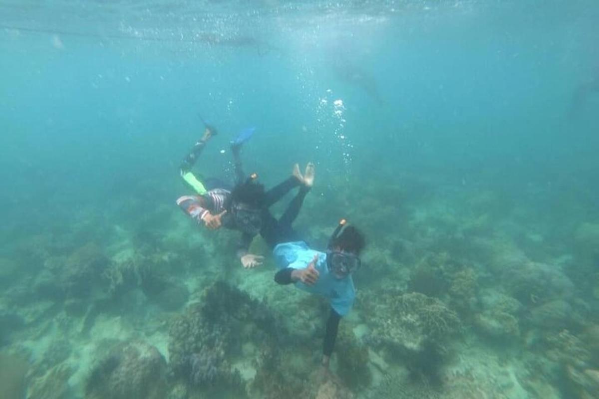 eine Gruppe von Menschen, die im Meer schwimmen