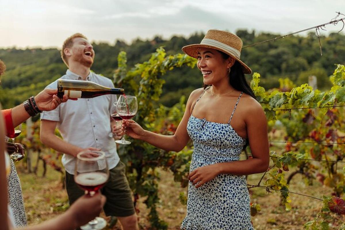 a group of people drinking wine in a vineyard