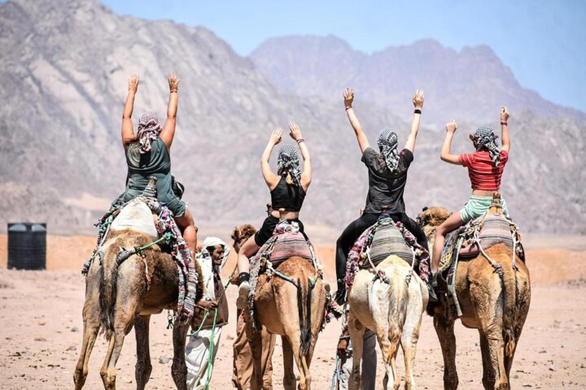 a group of people riding on horses in the desert