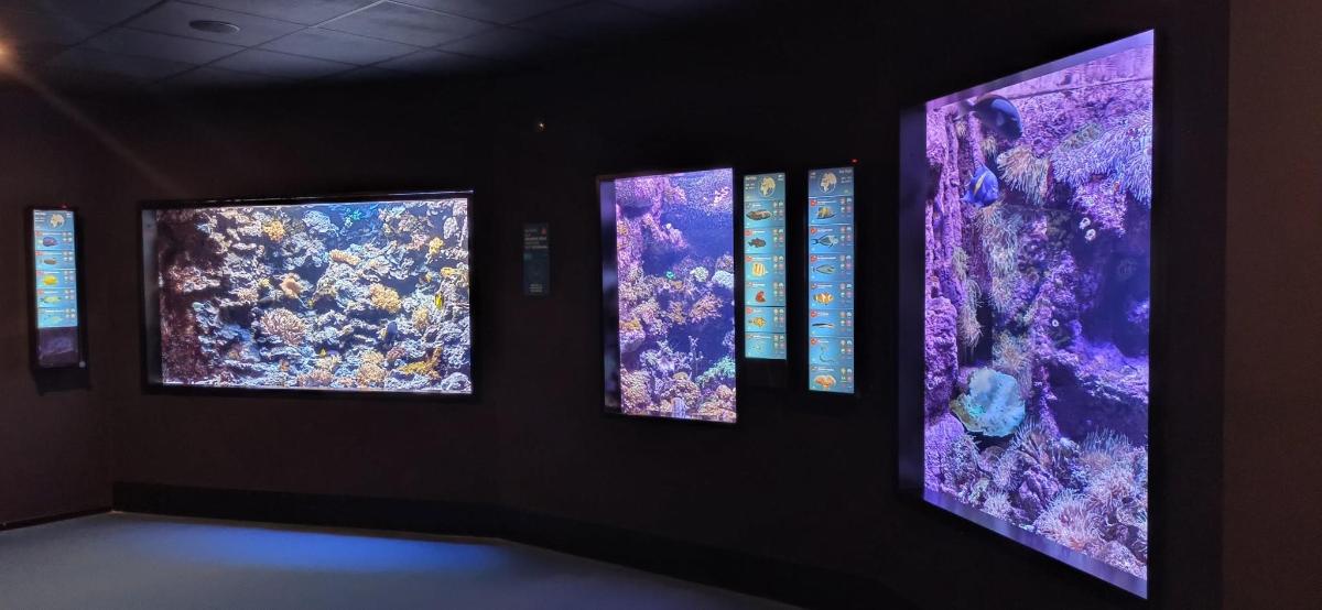a group of paintings on a wall in a museum