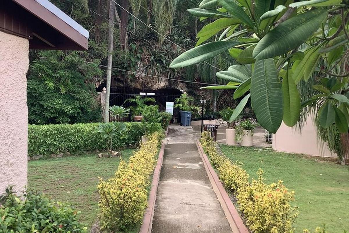 laluan pejalan kaki di taman dengan tumbuhan dan pokok