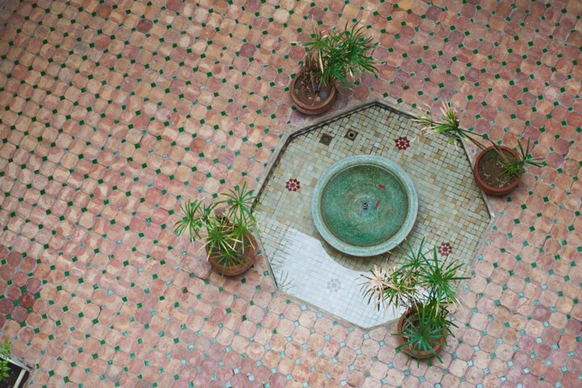 an aerial view of a fountain with potted plants