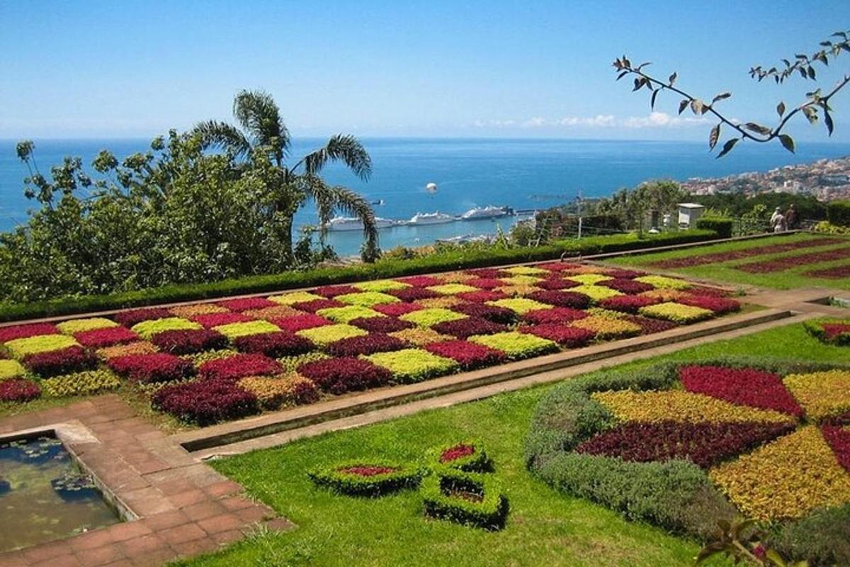 以海洋为背景的花园