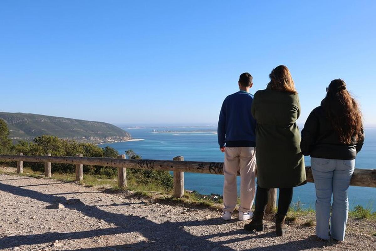 un gruppo di persone che guarda l'oceano