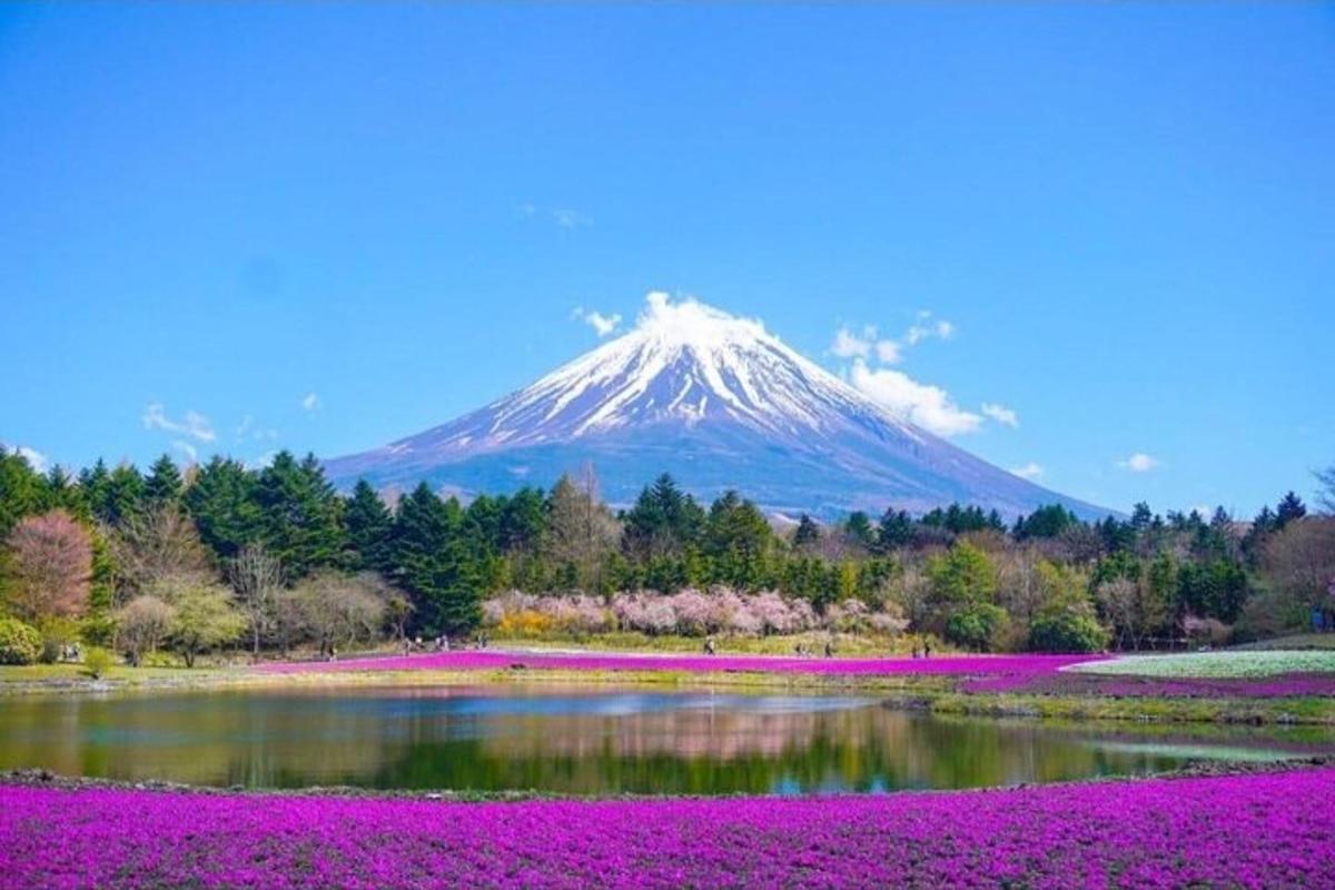 una montagna con fiori rosa di fronte a un lago