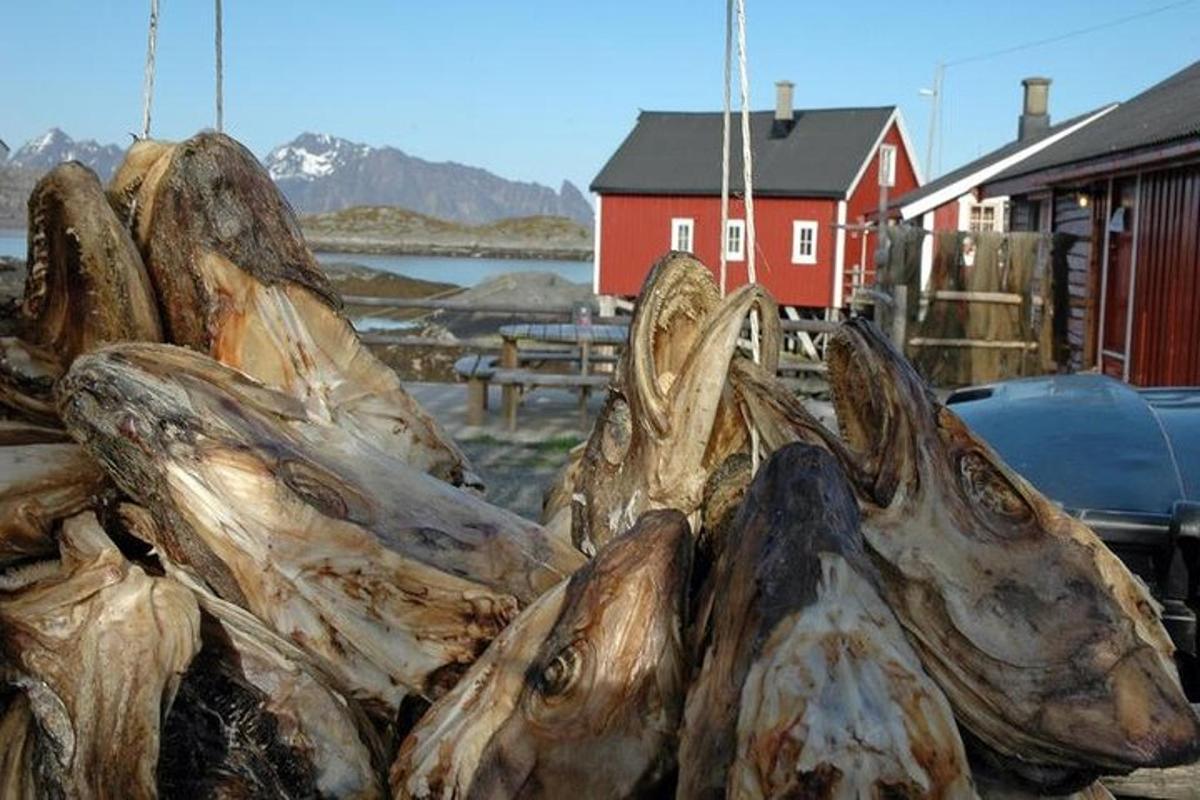 a pile of dried fish sitting next to a red barn
