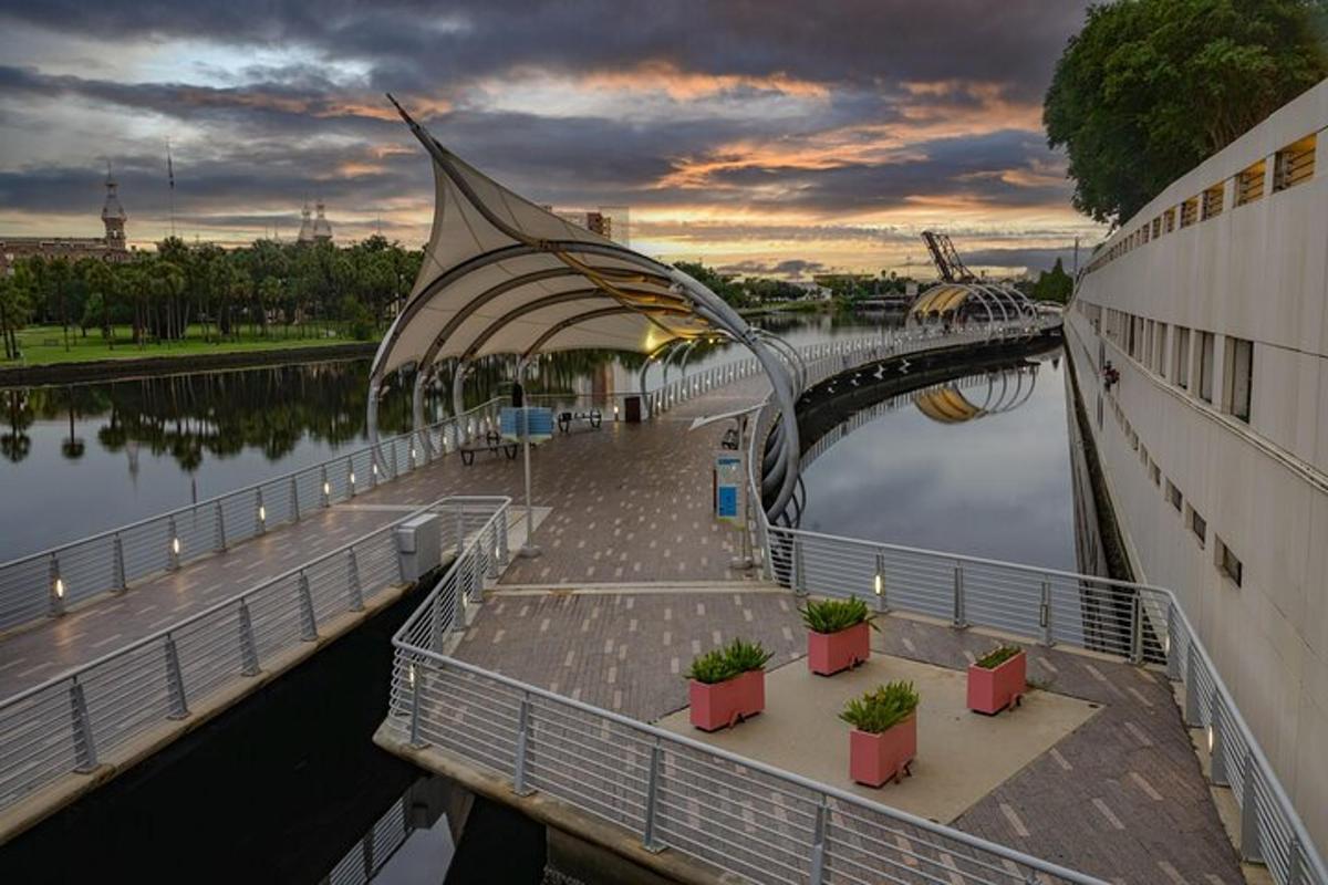 un ponte sopra uno specchio d'acqua con piante