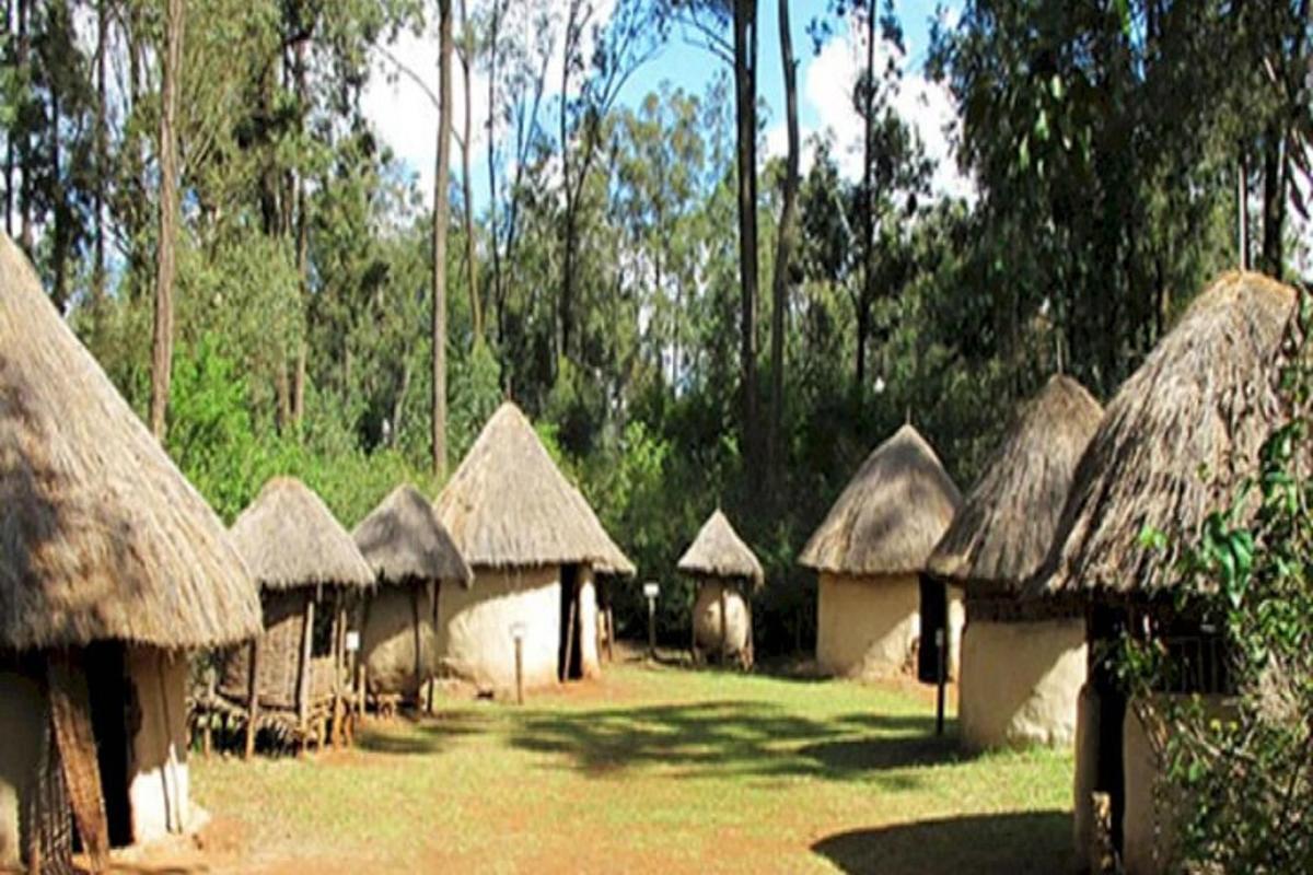 Un grupo de chozas con techos de paja en un campo