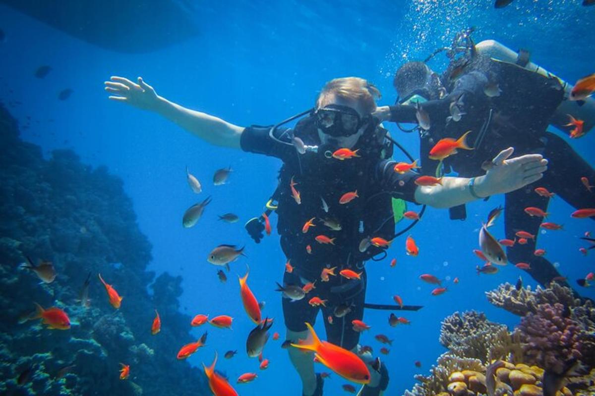 una persona che nuota nell'oceano con i pesci