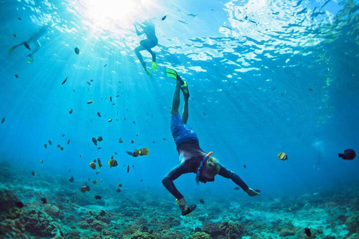 una persona si sta immergendo nell'oceano con i pesci