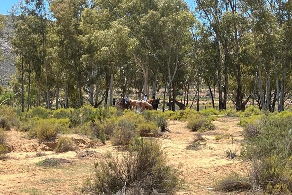 a group of horses standing in a field with trees
