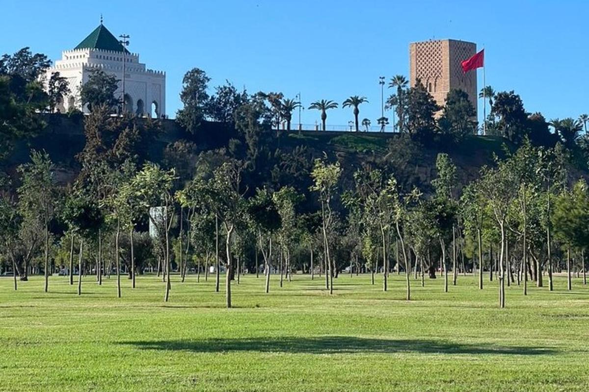 um campo com palmeiras e edifícios em uma colina