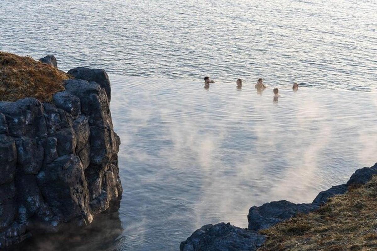 a group of ducks swimming in a body of water
