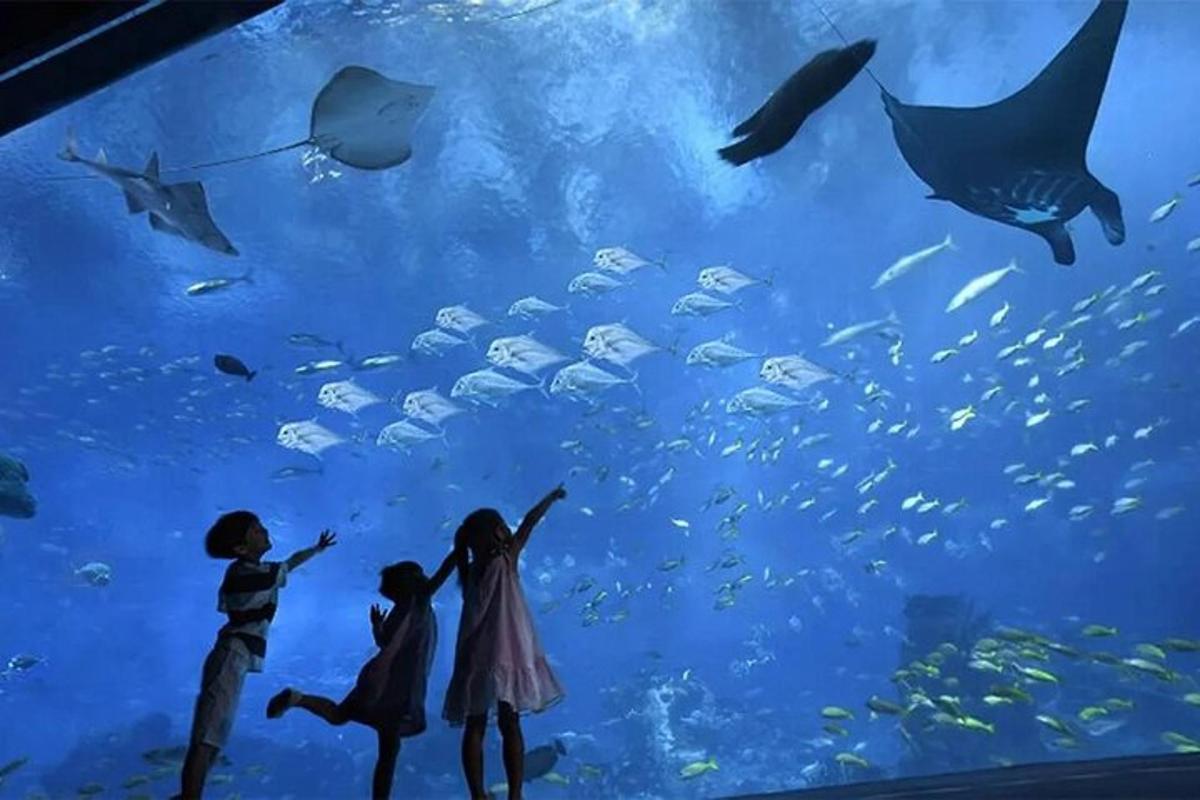 Dos niños de pie en un acuario mirando peces