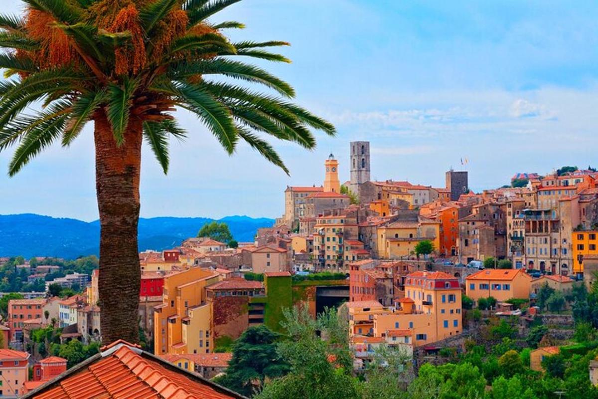 una vista d'una ciutat amb una palmera