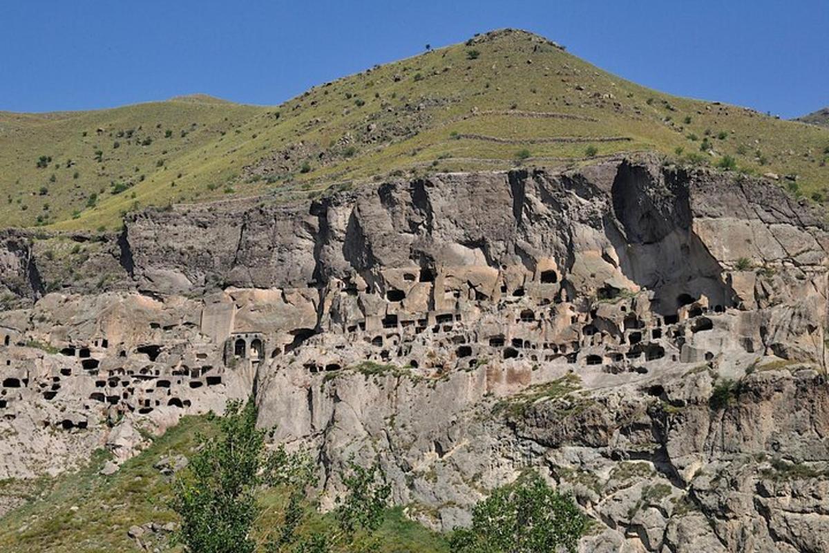 Una montaña con un montón de animales en ella