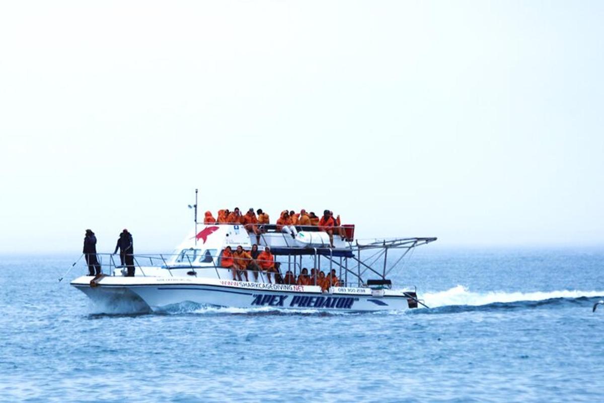a group of people on a boat in the water