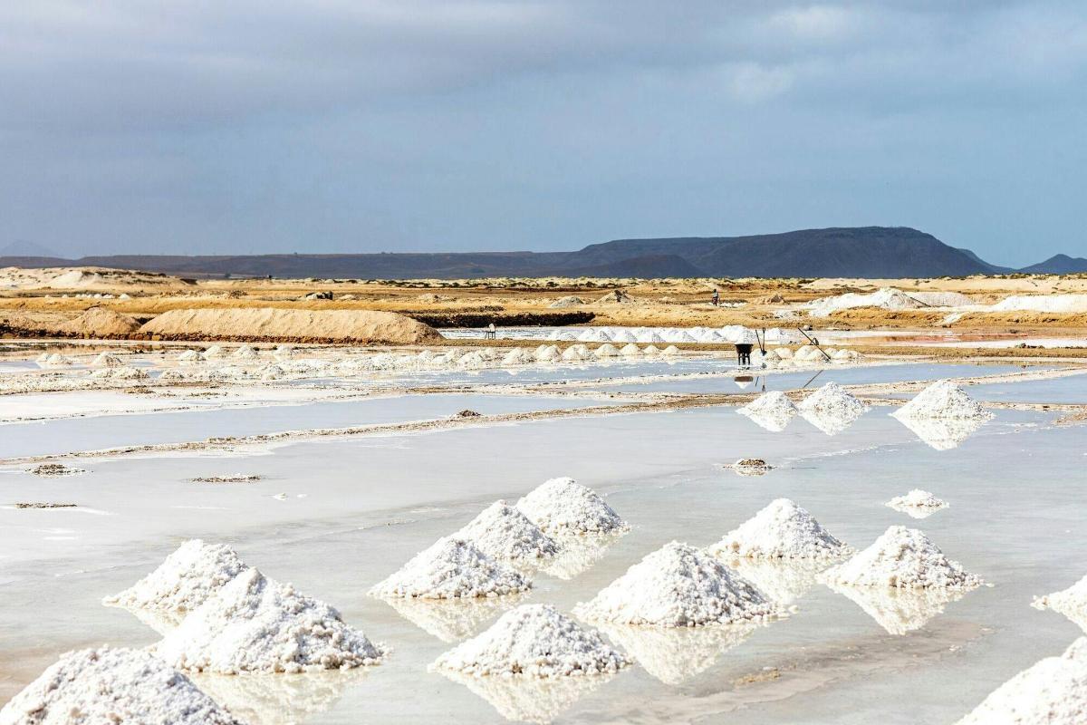 Lankytinos vietos ar pramogos nuotrauka numeris 3