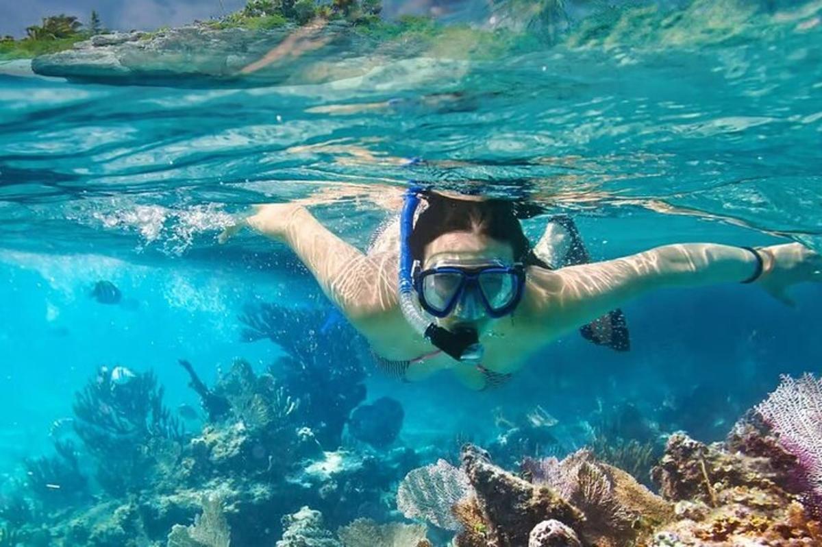 a woman in a snorkeling in the ocean