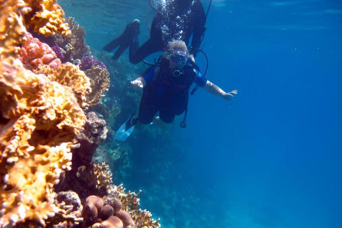 Dos personas nadando en el océano cerca de un arrecife de coral.