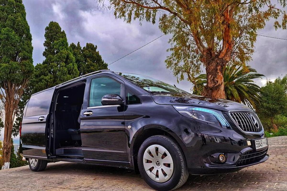 một chiếc xe SUV màu đen đỗ trên phố cạnh một cái cây