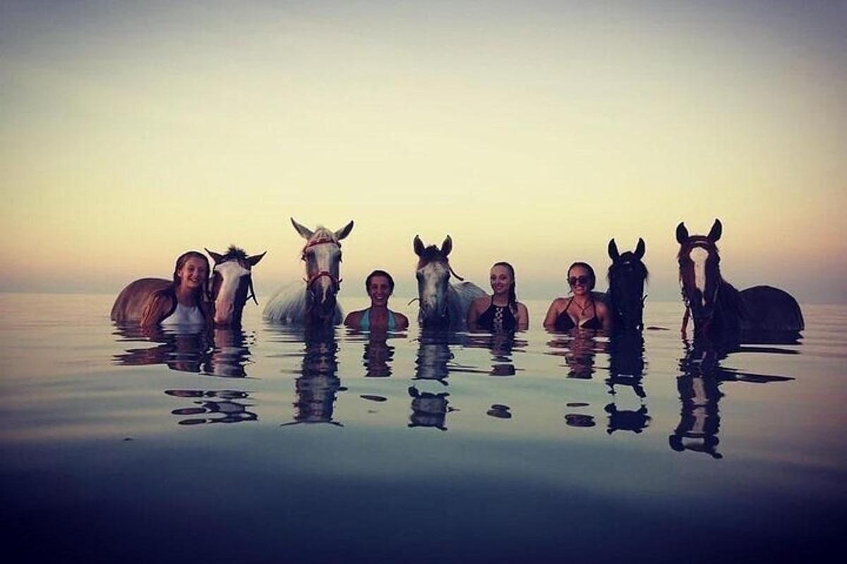 Un grupo de personas en el agua con caballos.
