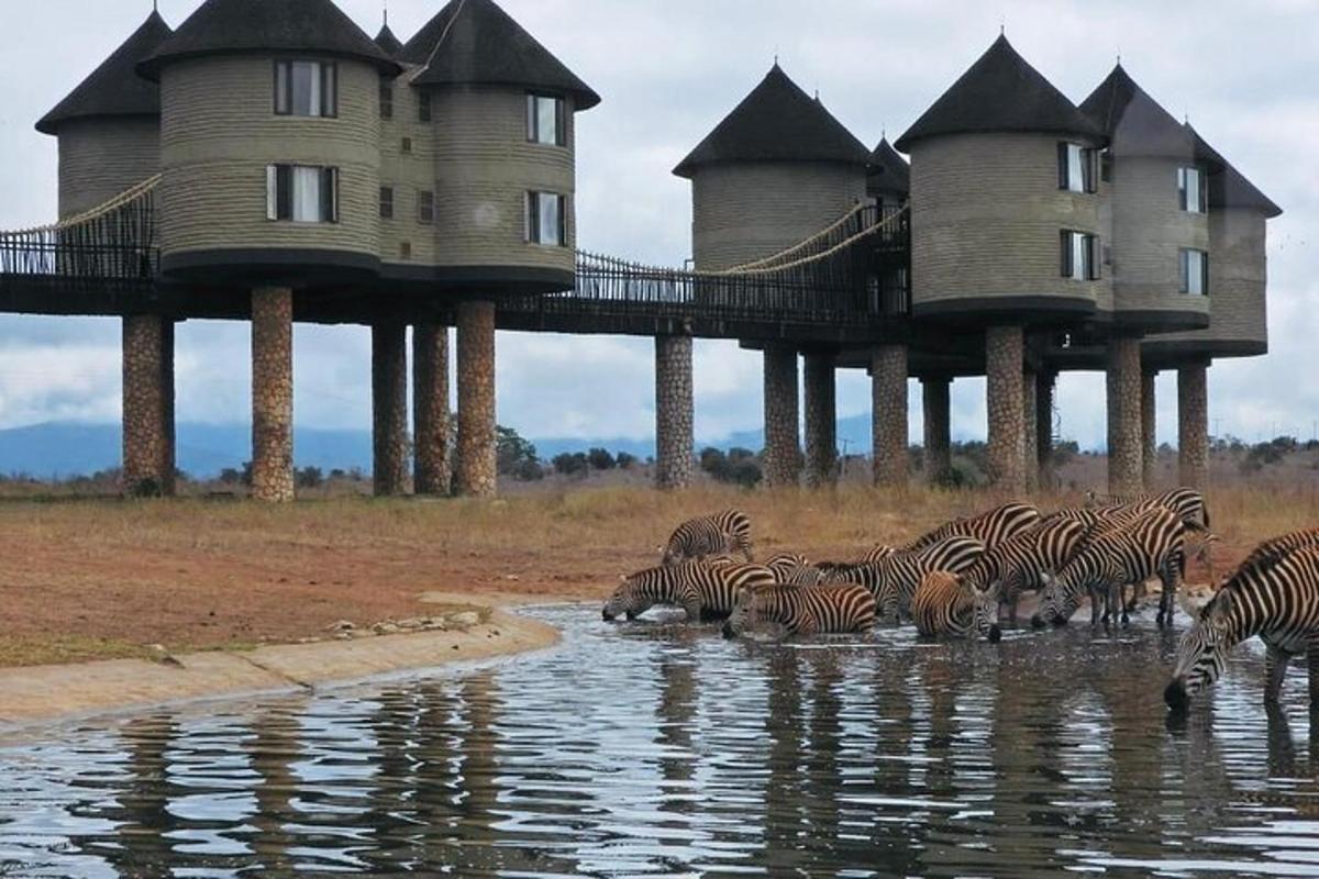 a herd of zebras in the water in front of houses