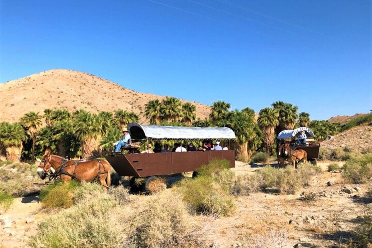 a group of people riding in a horse drawn carriage