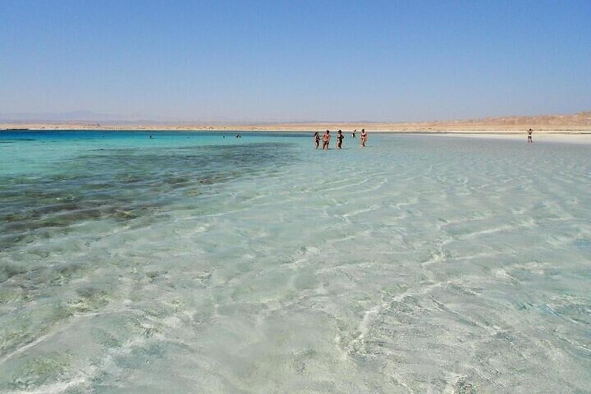 Un grupo de personas de pie en el agua en una playa.