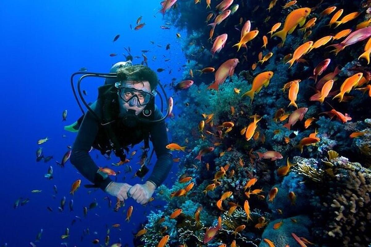 魚の群れと一緒に海にいる人