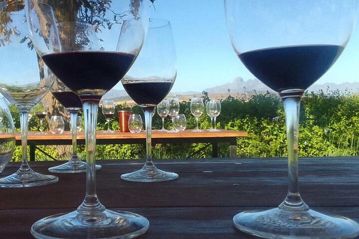 a group of wine glasses sitting on a table