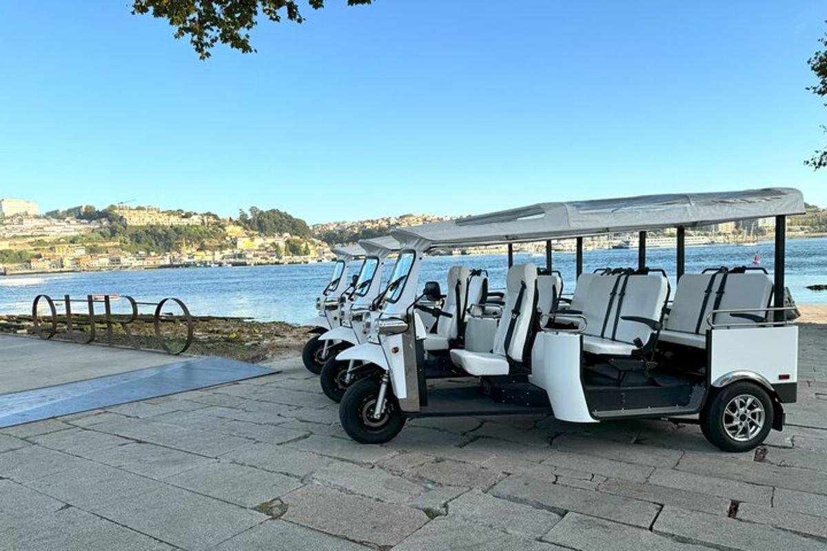 egy sor elektromos jármű parkolva egy strand mellett