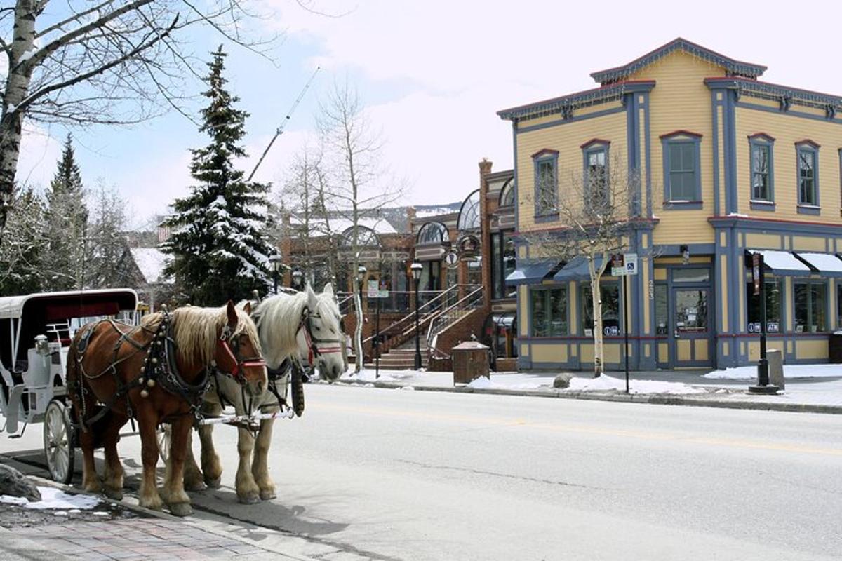 two horses pulling a carriage on a city street