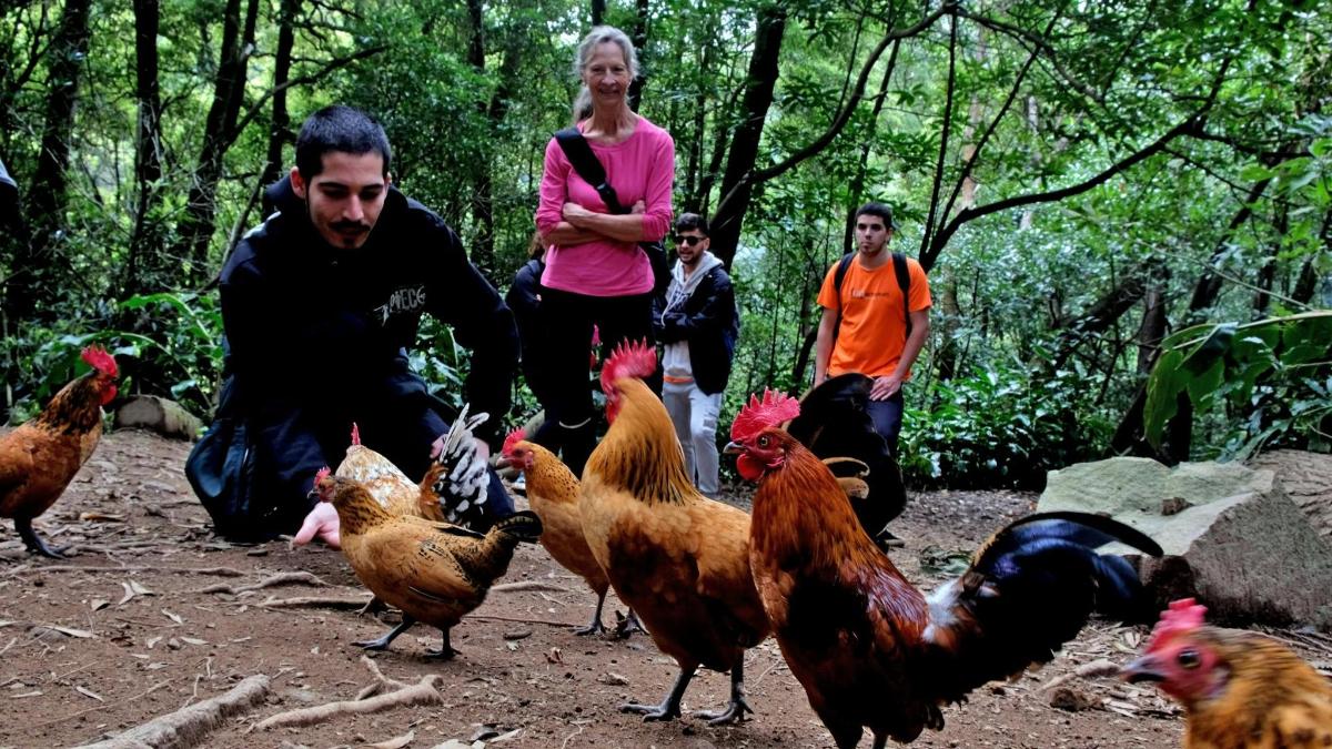 μια ομάδα ανθρώπων που στέκονται γύρω από μια ομάδα κοτόπουλων