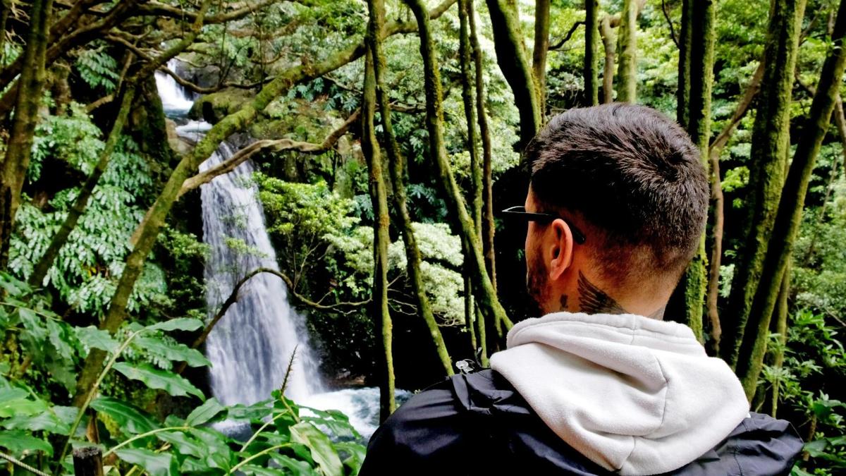 een man kijkt naar een waterval in het bos