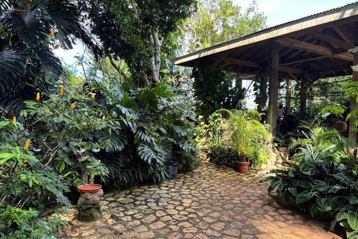 Un jardín con un pabellón y muchas plantas.