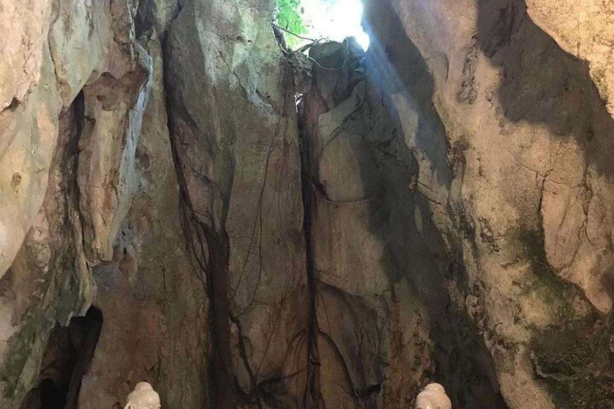 uma caverna com uma árvore no meio