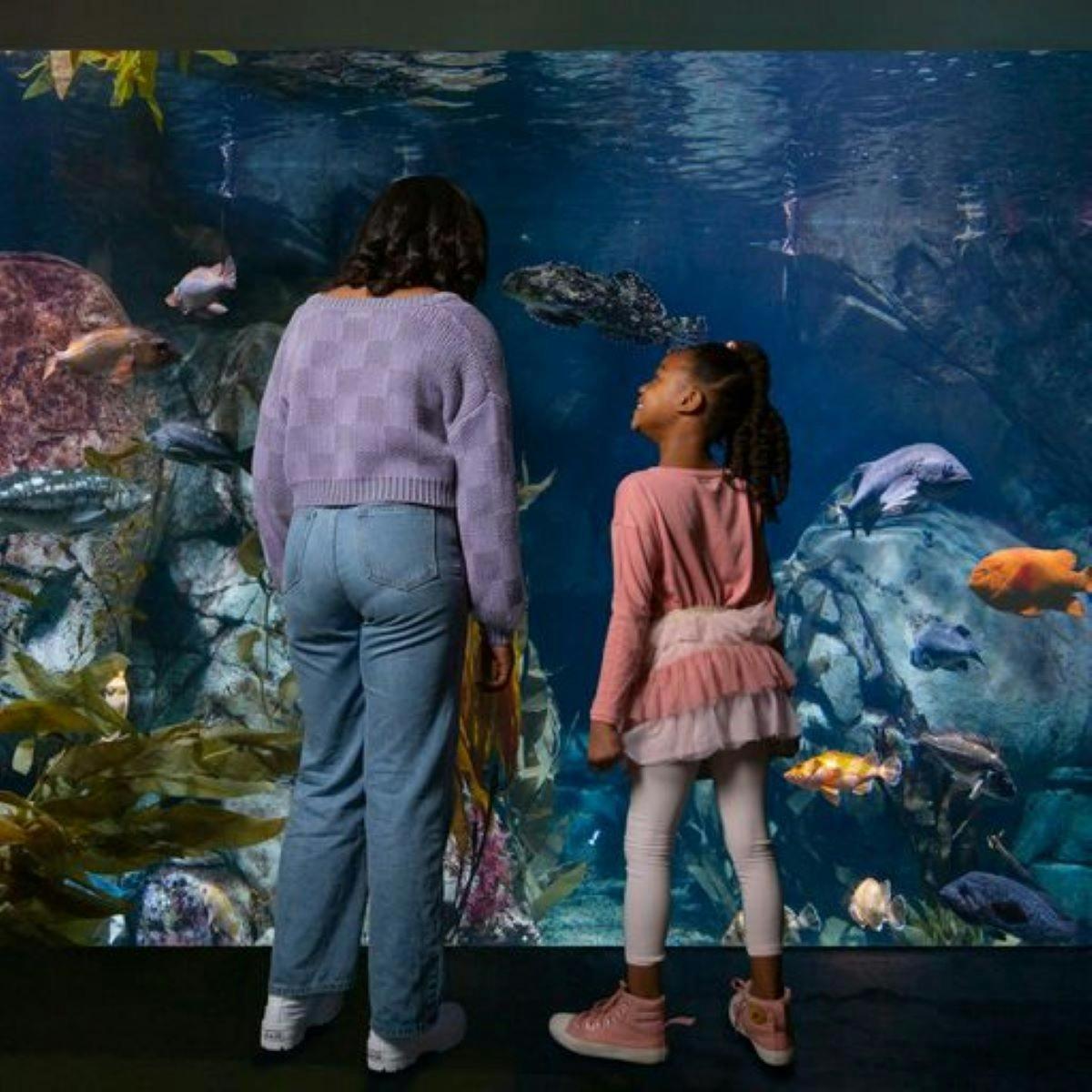 a woman and a little girl looking at an aquarium