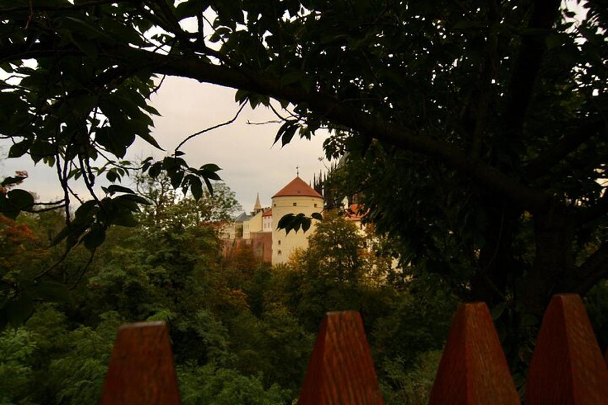 een kasteel midden in een bos van bomen