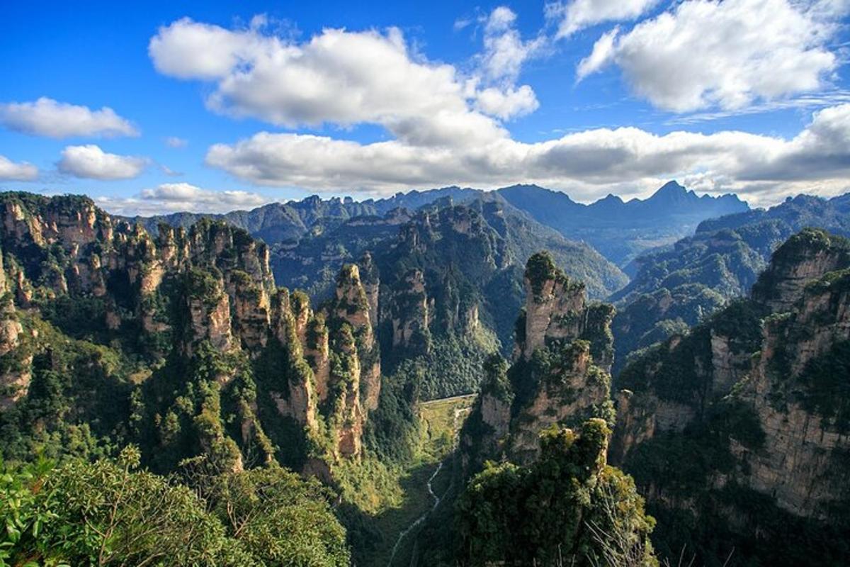 a view of a canyon with trees and mountains