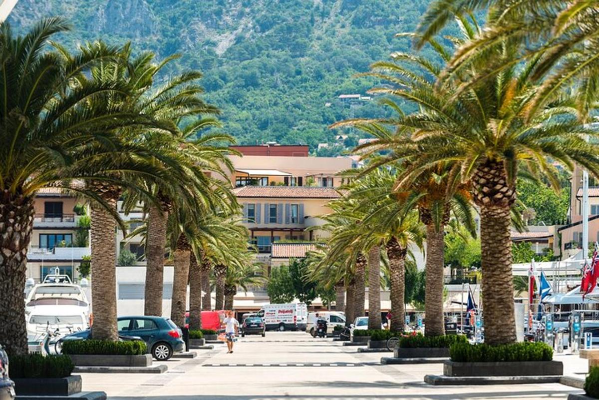 una fila di palme su una strada cittadina