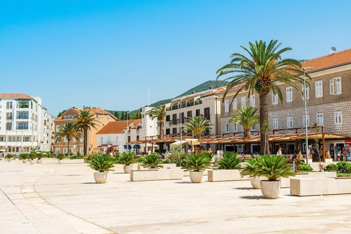 una piazza cittadina con palme ed edifici
