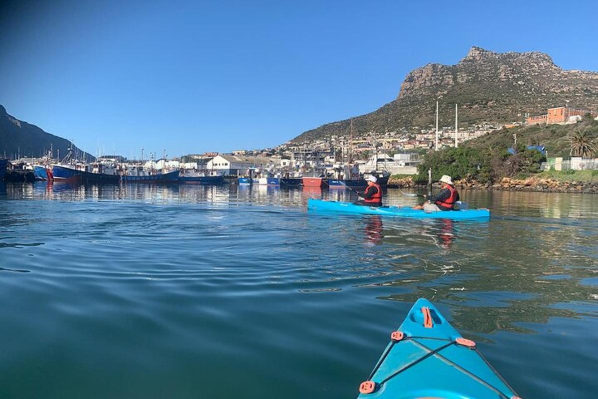 two people in kayaks on a body of water