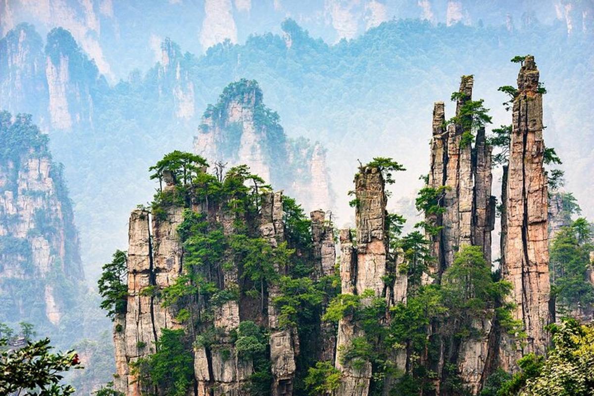 山顶有树的山